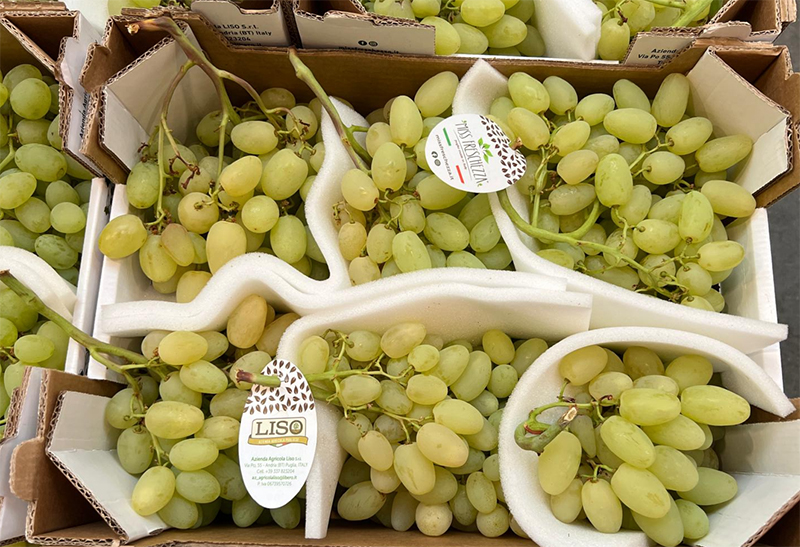 Uva bianca seedless Origine Italia prezzo 2,50-3 euro al chilo